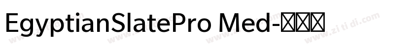 EgyptianSlatePro Med字体转换